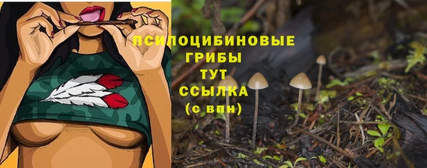 сатива Нязепетровск